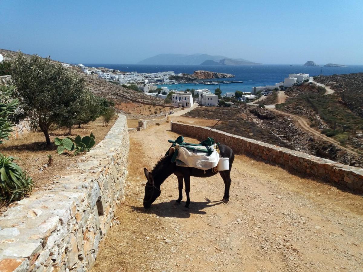 Flisvos Villa Karavostasis  Bagian luar foto